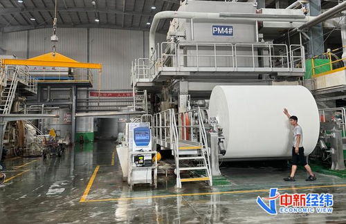 探訪 華北紙都 不打價格戰,造紙廠還能 卷 什么